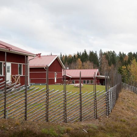 Valbergsaengen Hotell & Vandrarhem Torsby Exterior photo
